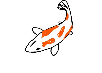 鯉